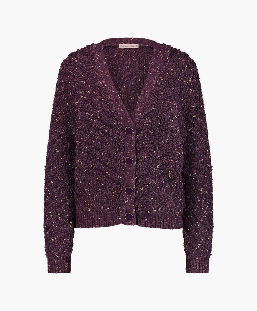 Nieuw! Studio Anneloes Iris Chunky Glitter Vest L, Ophalen of Verzenden, Nieuw, Maat 42/44 (L), Rood