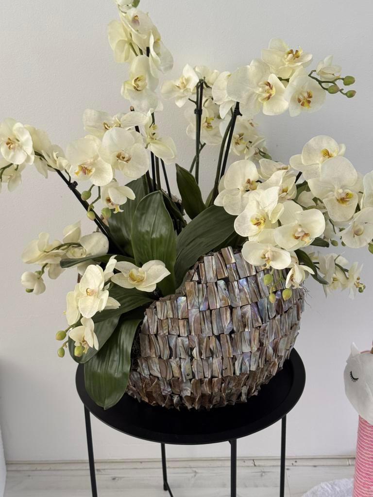 Schelpenvaas broken bowl met orchidee, Huis en Inrichting, Ophalen of Verzenden, Zo goed als nieuw