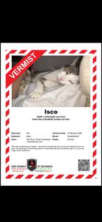 VERMIST! Kat Isco, Kat