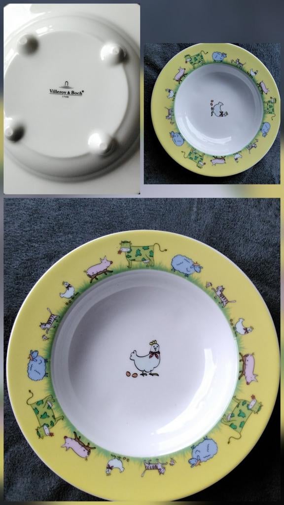 mooi bordje  Villeroy & Boch, Ophalen of Verzenden, Zo goed als nieuw, Bord(en), Overige stijlen