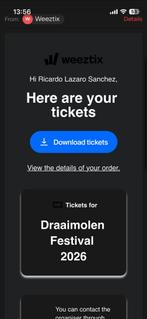Draaimolen tickets festival, Twee personen