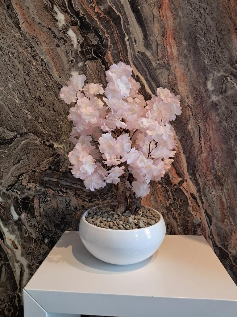 Tafelmodel bloesemboom afgeprijsd, Ophalen, Nieuw