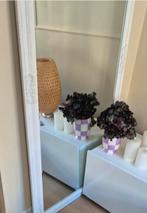 Spiegel Nordborg, Ophalen, 50 tot 100 cm