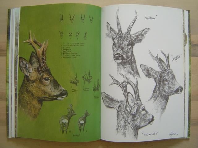 jacht Dieren op het spoor jagen, Verzenden, Zo goed als nieuw, Natuur algemeen