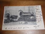 Aap Hond Dressuur Theater Circus, Verzenden, Voor 1920, Gelopen, Hond of Kat