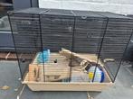 Gratis Oude hamsterkooi, Dieren en Toebehoren, Kooi, Gebruikt, Minder dan 75 cm, Hamster