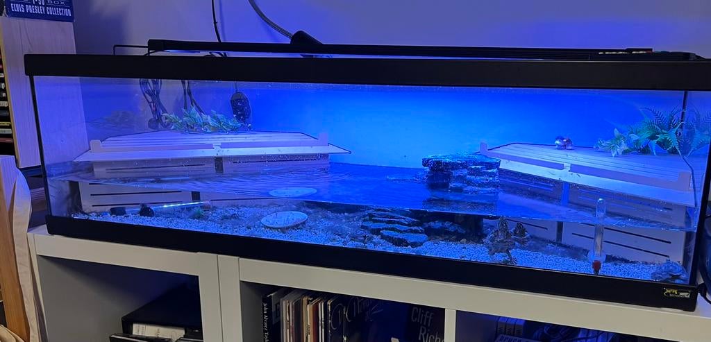 Schildpaddenbak / aquarium tortum 100 met 4 muskusschildpadd, Ophalen, Zo goed als nieuw, Leeg aquarium