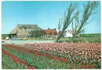 992273 Friesland 1971 Boerderij Nette oud kaart onbeschreven, Ophalen of Verzenden, 1960 tot 1980, Ongelopen, Friesland
