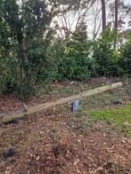 Houten Wip Wap - Natuurlijk & Professioneel, Ophalen of Verzenden, Gebruikt, Overige typen