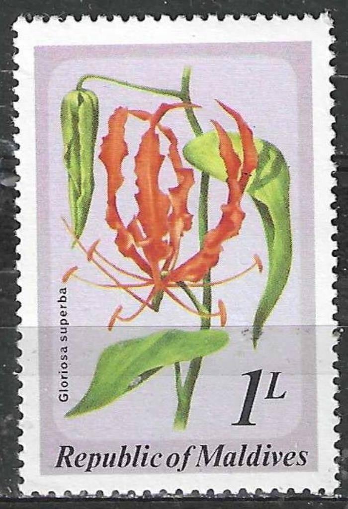 Maldiven 1979 - Yvert 776 - Glorioso superba - 1 l. (PF), Verzenden, Postfris, Midden-Oosten