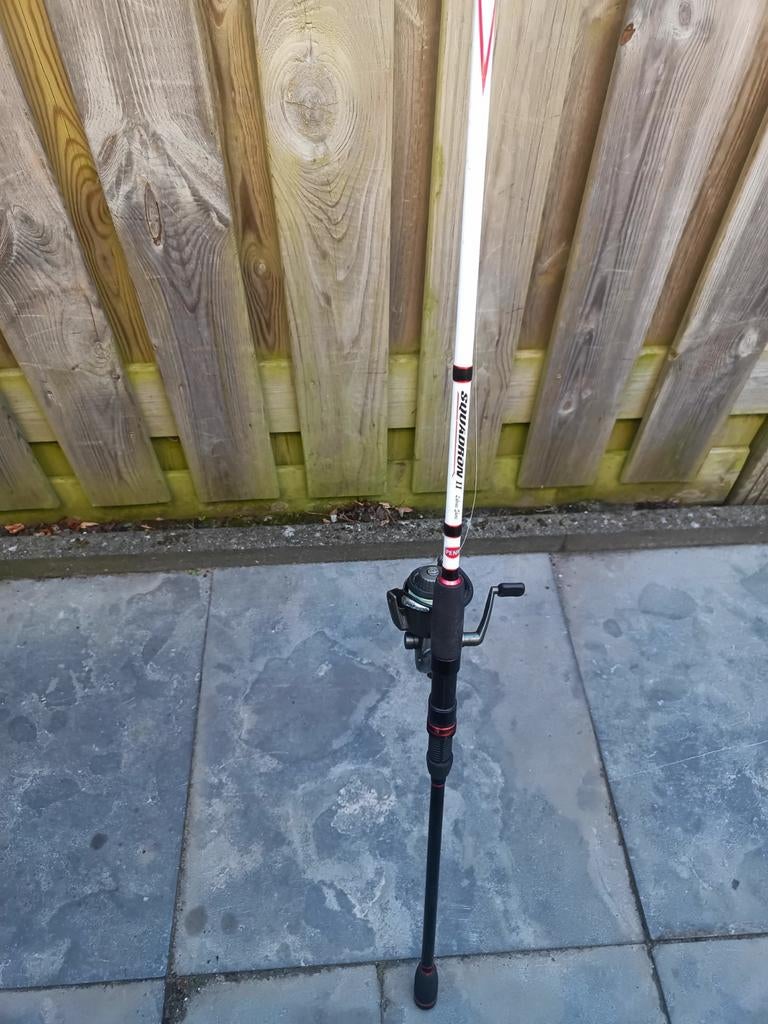 Penn spin hengel met molen 270 cm  20/50 werpgewicht, Watersport en Boten, Hengelsport | Algemeen, Ophalen, Zo goed als nieuw
