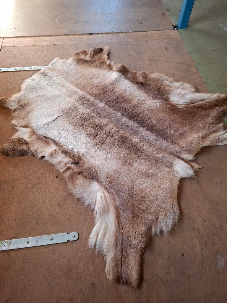 Mooie rendiervacht, Ophalen of Verzenden, Zo goed als nieuw