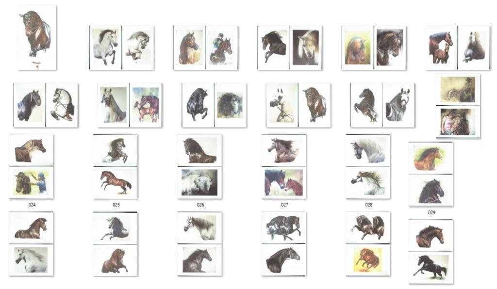 J F Villalba Tarmeno 46 Litho Paarden aquarellen, Antiek en Kunst, Kunst | Litho's en Zeefdrukken, Ophalen of Verzenden