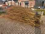 Wilgen takken gratis, Ophalen, Bloeit niet, Volle zon, Overige soorten