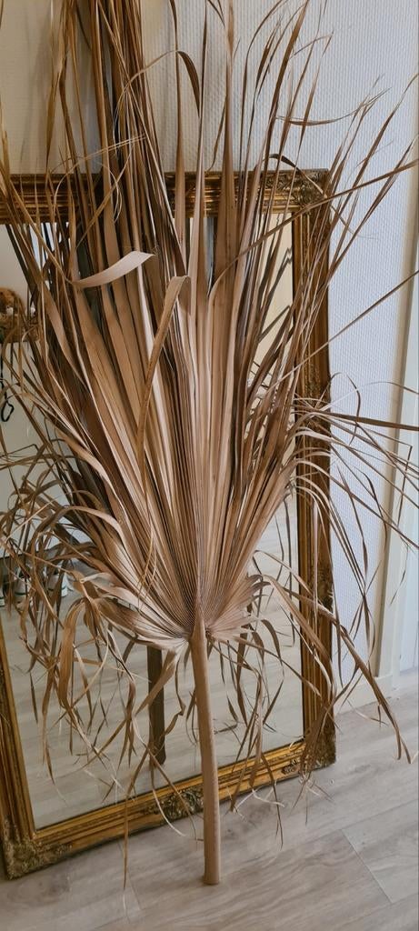 Decoratief palmblad - Natuurlijke sfeermaker, Huis en Inrichting, Ophalen, Boho, Zo goed als nieuw, Natuurlijk materiaal