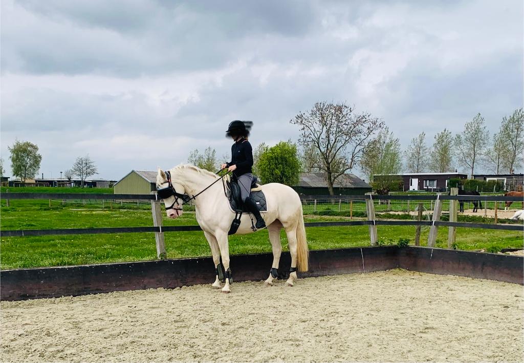 Cremello merrie, grote maat (2020), Dieren en Toebehoren, Paarden, Merrie, L, Gechipt, Recreatiepaard