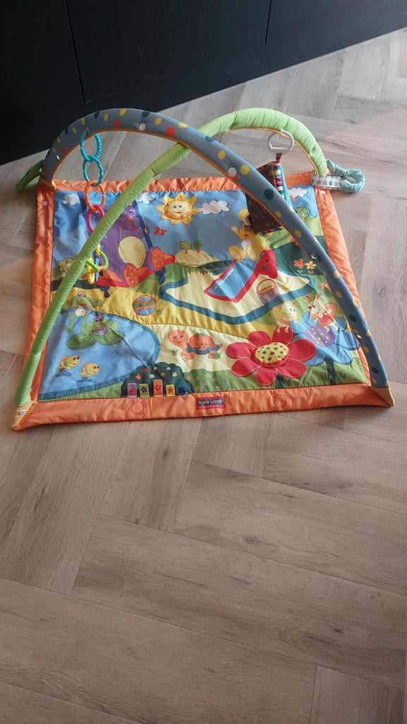 Tiny Love speelkleed, Ophalen