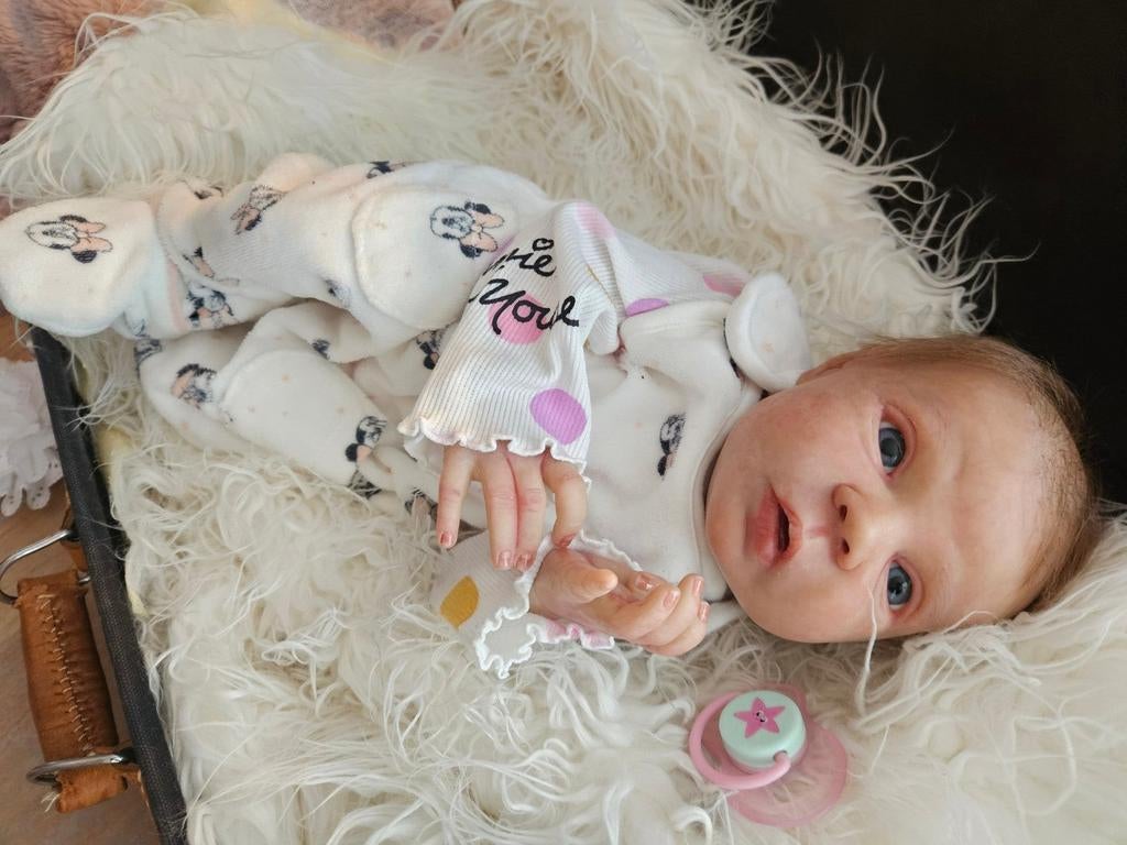 Reborn, Verzamelen, Ophalen of Verzenden, Pop, Levensecht of Reborn