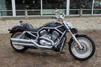 Harley-Davidson VRSC V-Rod VRSCA V-Rod, Chopper, Bedrijf, Meer dan 35 kW, 1131 cc