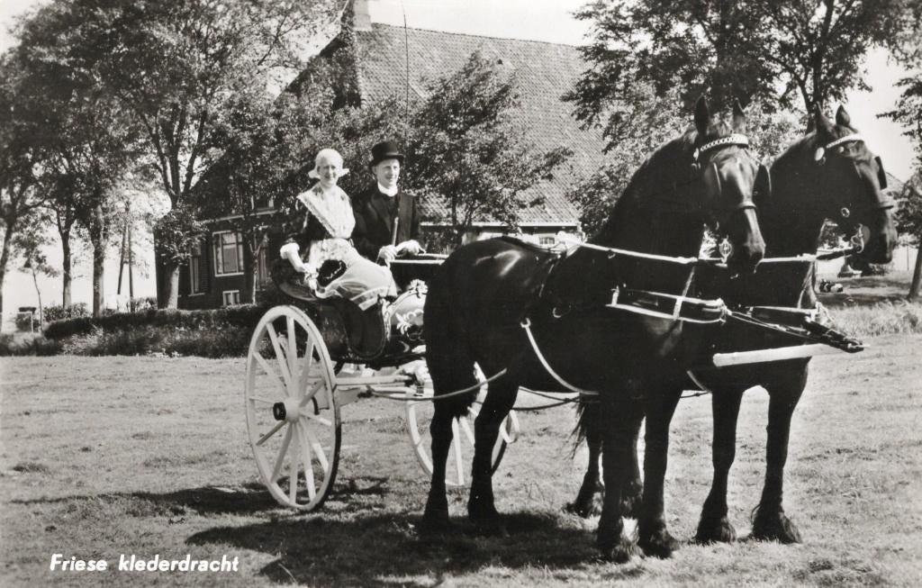Friese klederdracht, Ophalen of Verzenden, 1980 tot heden, Ongelopen, Friesland
