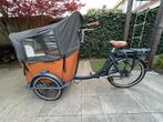 Curve-e Babboe bakfiets 2019, Ophalen, Zo goed als nieuw, 4 kinderen of meer, Elektrisch