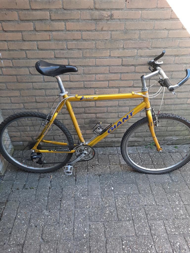 Giant mountainbike jaren stilgestaan., Ophalen of Verzenden