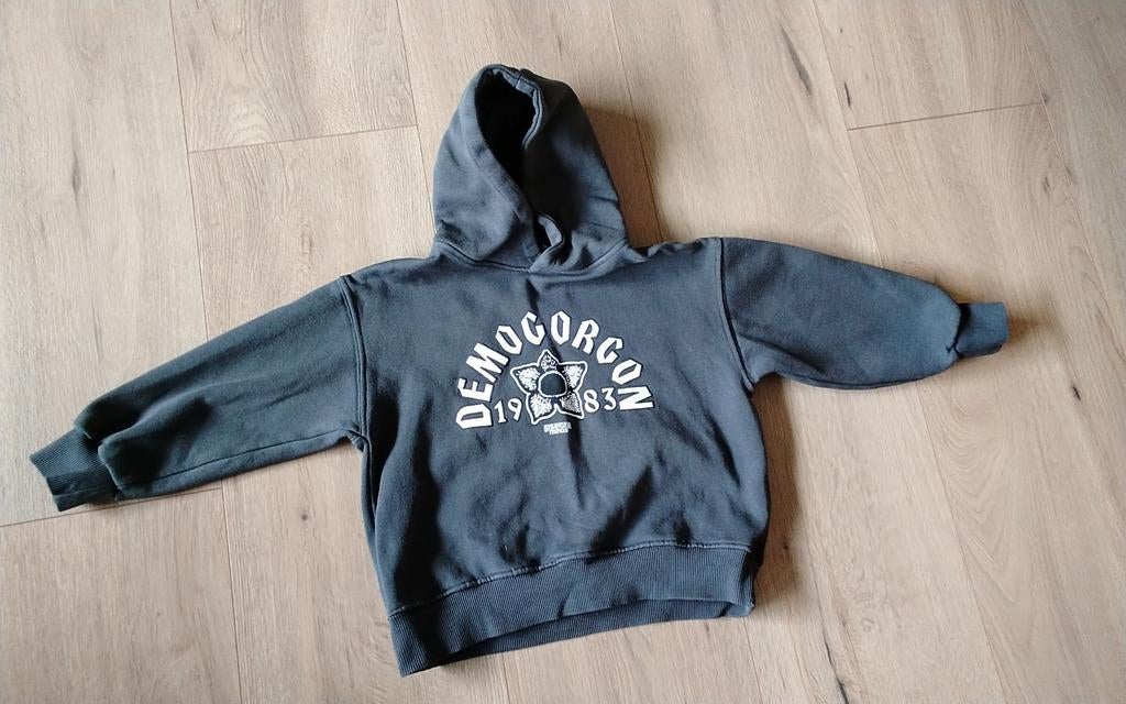 Kinderhoodie, Kinderen en Baby's, Kinderkleding | Maat 122, Ophalen of Verzenden, Jongen of Meisje, Jurk of Rok