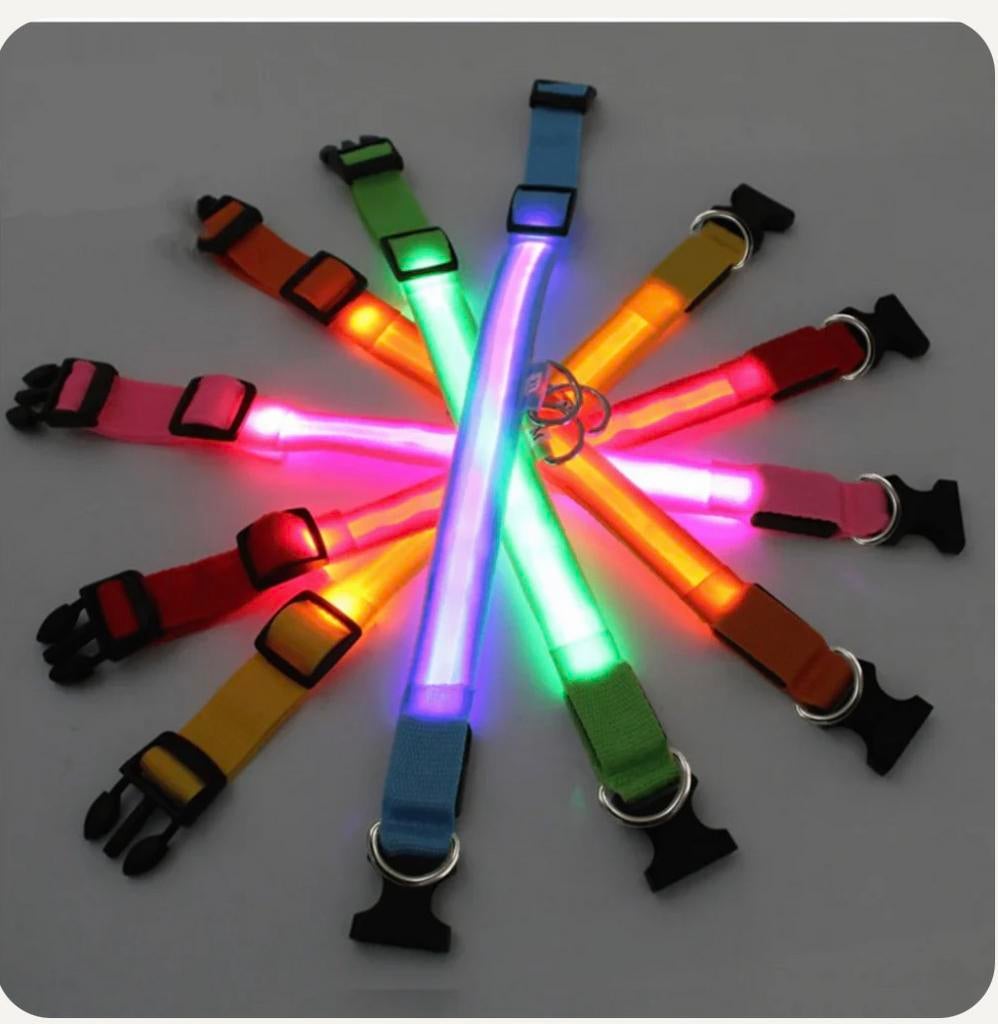 Halsband hond maat M met rode LED, nieuw!, Ophalen of Verzenden, Nieuw