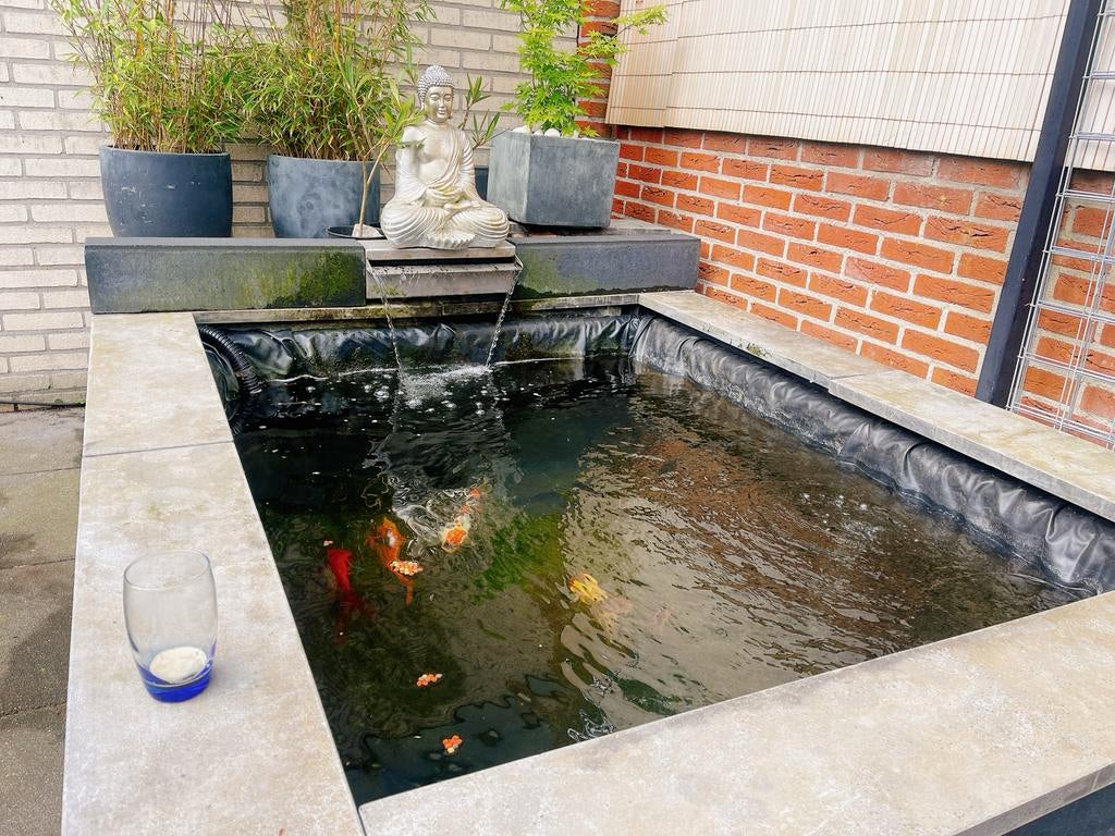 Complete koi vijver, Tuin en Terras, Vijvers, Ophalen, Gebruikt
