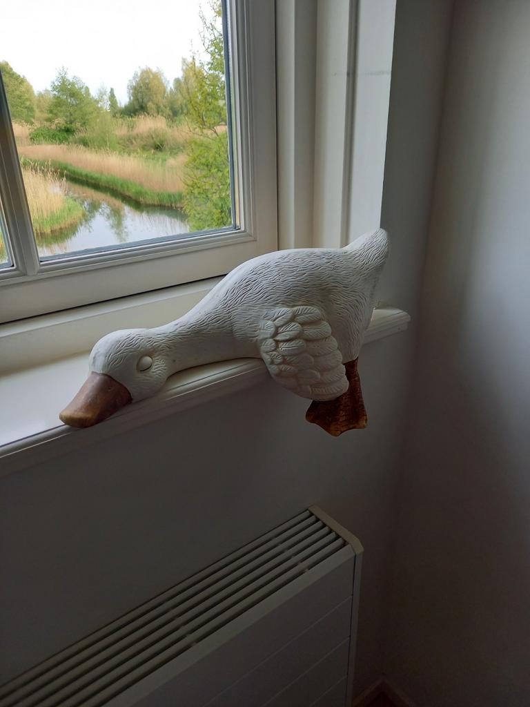 Prachtige slapende eend, Ophalen of Verzenden