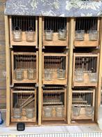 Zangkast voor timbrado’s, waterslagers of harzers, Ophalen, Zo goed als nieuw, Hout, Vogelkooi