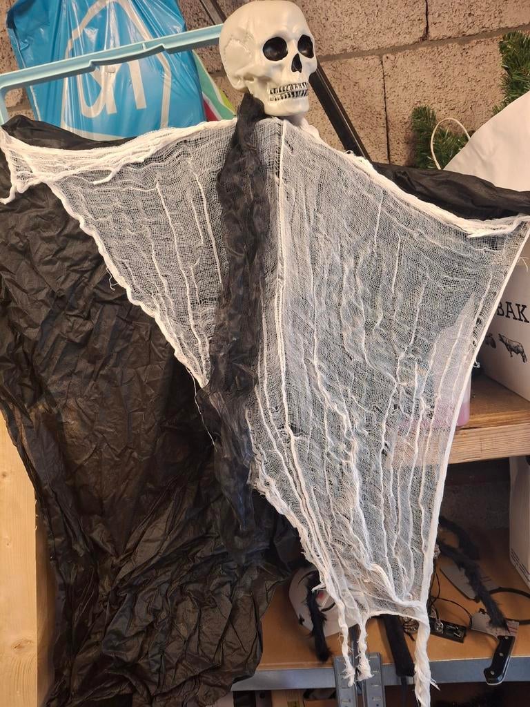 Halloween decoratie en kleding, Ophalen of Verzenden, Halloween of Griezel
