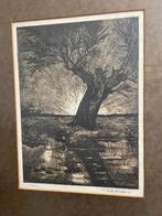 Knotwilg in stormweer - gesigneerde ets, Antiek en Kunst, Ophalen of Verzenden