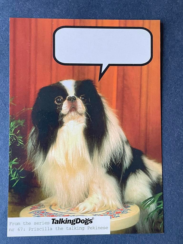 Talking Dogs Pekinees Boomerang, Ophalen of Verzenden, 1980 tot heden, Ongelopen, Hond of Kat