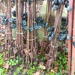 Prikpalen metaal afraster palen en draad, Meerdere dieren, Schaap