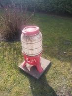 Voertoren/kippen, Vrouwelijk, Kip