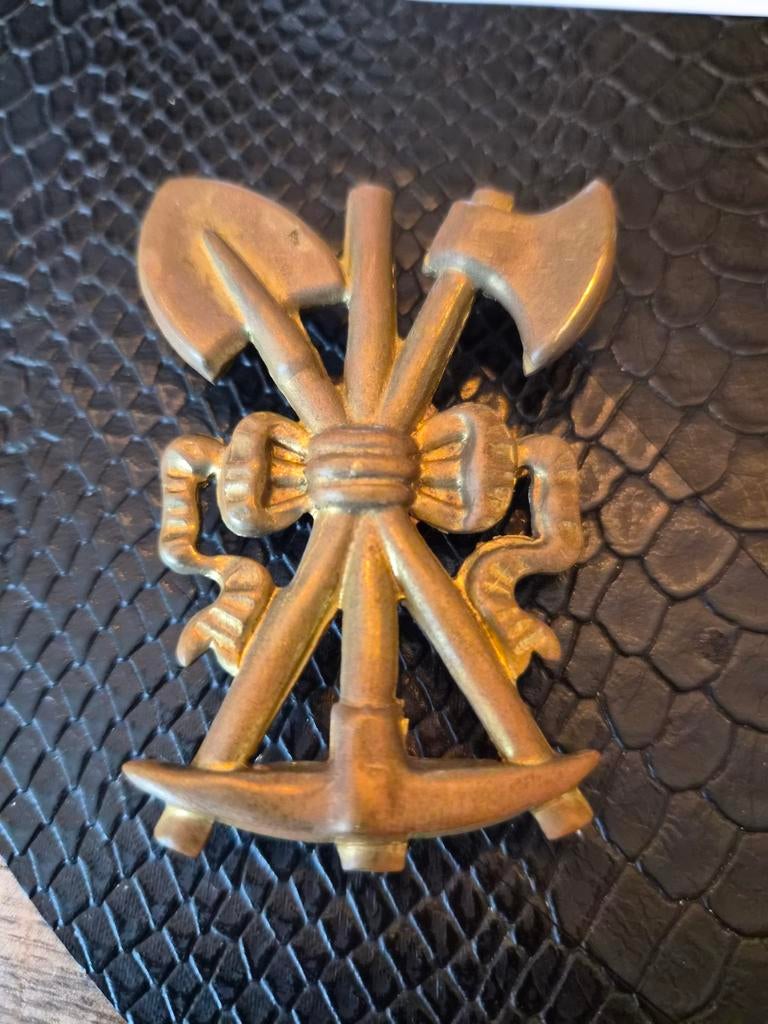 Italiaanse  geniet, Ophalen of Verzenden, Landmacht, Overige gebieden, Embleem of Badge