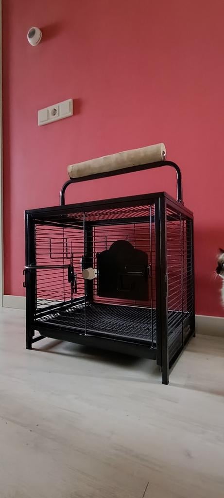 NIEUWE Papaaien| Vogel -reiskooi vervoerskooi, Geslacht onbekend, Parkiet