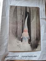 viltpakket IJspegelkabouter, Hobby en Vrije tijd, Vilt, Ophalen of Verzenden, Nieuw, Figuurtje(s)