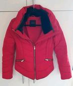 ZARA MAAT M NIEUW ❤️, Kleding | Dames, Jassen | Winter, Maat 38/40 (M), Zara, Nieuw, Ophalen of Verzenden