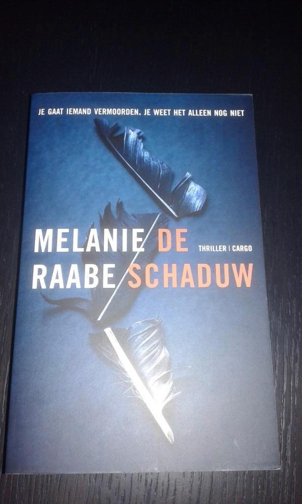 De schaduw - Melanie Raabe, Boeken, Thrillers, Zo goed als nieuw, Europa overig, Ophalen of Verzenden