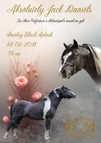 Ter dekking: NMPRS smokey black splash hengst, Hengst