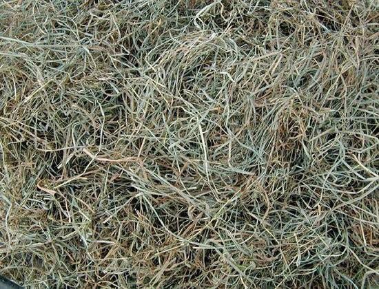 Gezocht: vaste hooi leverancier grote balen brengen en losse, Dieren en Toebehoren, Dierenvoeding, Vee, Ophalen of Verzenden