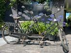 Tandem, Gazelle, zwart, Minder dan 10 versnellingen, Gebruikt, 55 cm of meer, 57 tot 61 cm