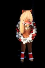 Kleine ballen kerstkrans huren, Dieren en Toebehoren, Paarden en Pony's | Overige Paardenspullen, Ophalen, Zo goed als nieuw, Overige soorten