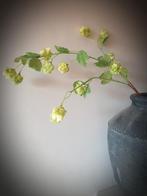 Prachtige kunst hop - hoptak  - zijdenbloem, Ophalen of Verzenden, Nieuw, Binnen