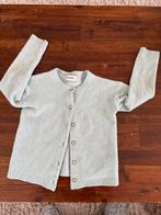 Filou & Friends vestje maat 104, Ophalen of Verzenden, Zo goed als nieuw, Meisje