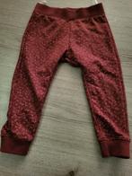 Meisjes broek maat 80, Kinderen en Baby's, Babykleding | Maat 80, Zeeman, Gebruikt, Broekje, Meisje