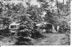Dwingeloo Camping Torentjeshoek., Ophalen of Verzenden, 1960 tot 1980, Gelopen, Drenthe