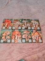 vel oud poëzie plaatjes MLP nr 1436 paddestoelen vel nr 8, Verzamelen, Poesieplaatjes, Ophalen of Verzenden